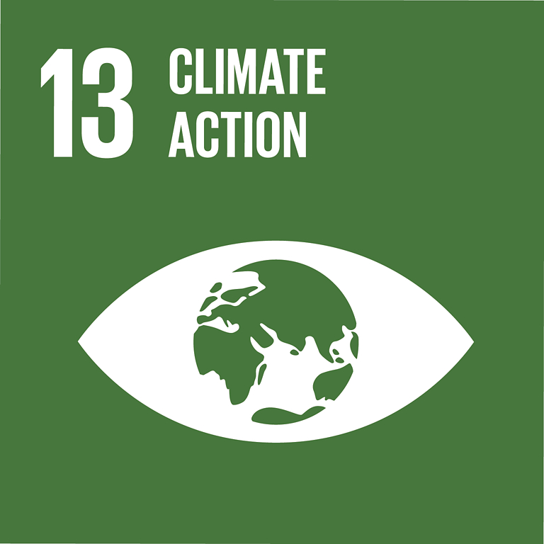 SDG icon 13