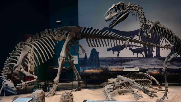 The Science Museum of Minnesota enhanced building comfort with Trane heat recovery solutions