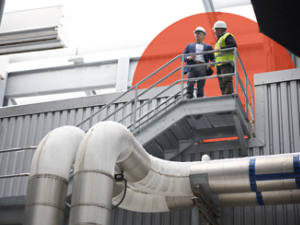 building brilliance building cat walk