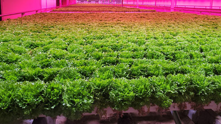 tc-navada-produce-blog-image.jpg