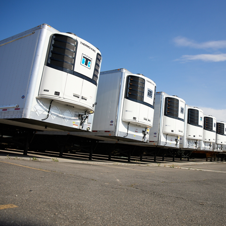 Multiple trucks in a line with Thermo King units