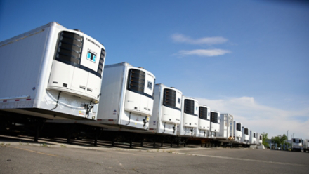 Multiple trucks in a line with Thermo King units
