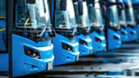 Blue city buses lined up in parking lot.