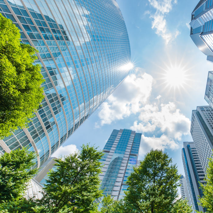 Upward view of tall buildings looking into sun