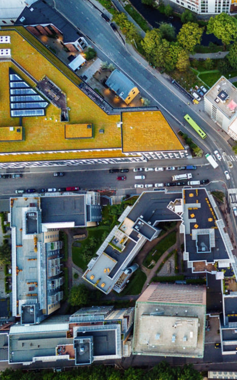 Downtown intersection surrounded by buildings and nature.
