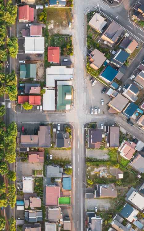 Neighborhood next to dense forest