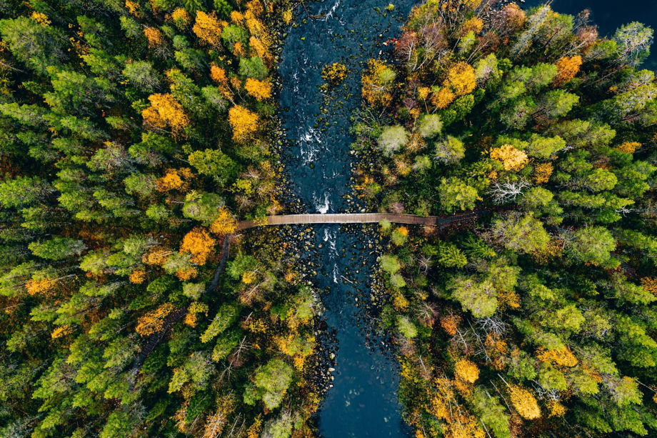 Small walking bridge over river in the fall