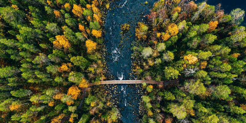 Small walking bridge over river in the fall