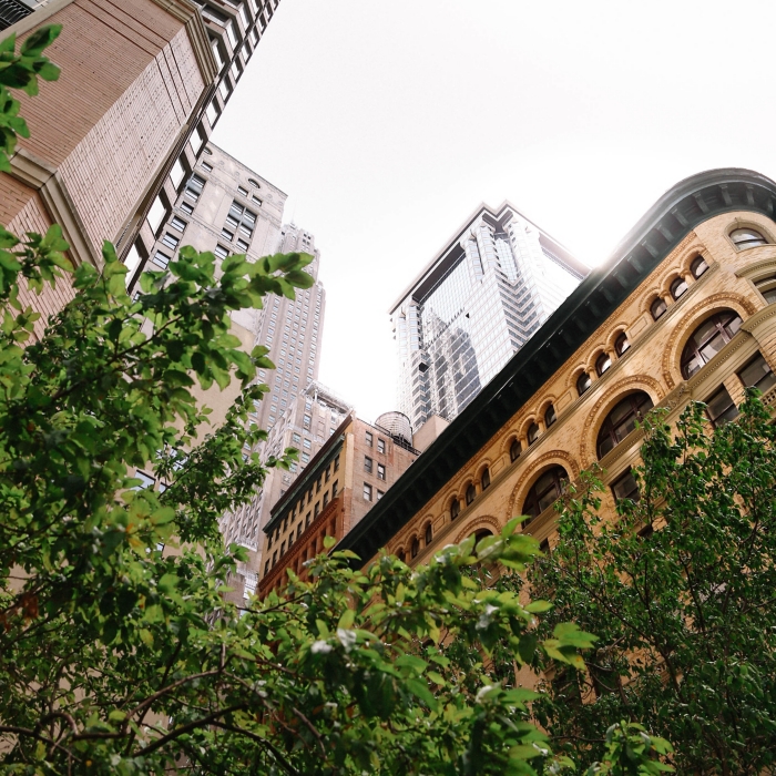 Low angle shot of high-rise buildings surrounded by greenery