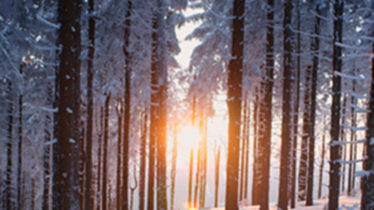 U.S. winter natural gas prices