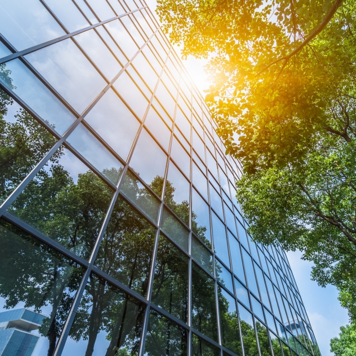 modern office building with green trees.