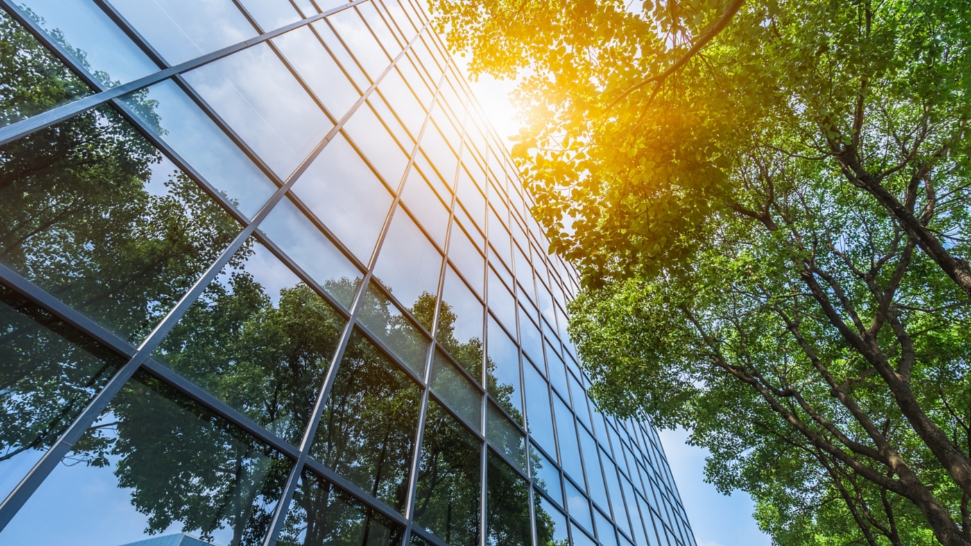 modern office building with green trees.