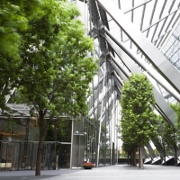 iStock-166006404 CHES.jpg